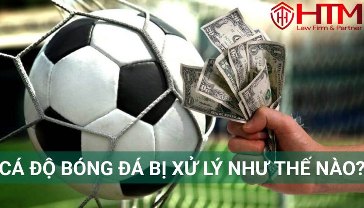 CÁ ĐỘ BÓNG ĐÁ BỊ XỬ LÝ NHƯ THẾ NÀO?